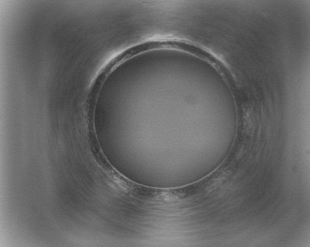 X0000061751311200512161706