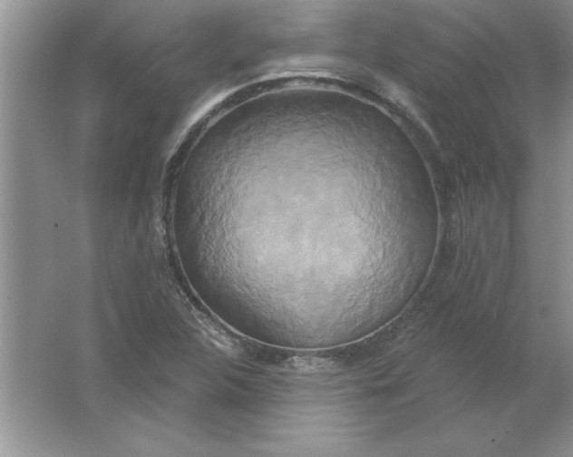 X0000061751312200512161706