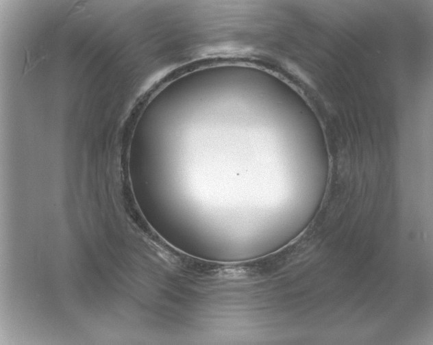 X0000061751315200512161706