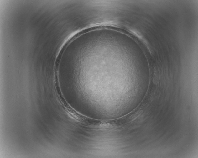 X0000061751316200512161706