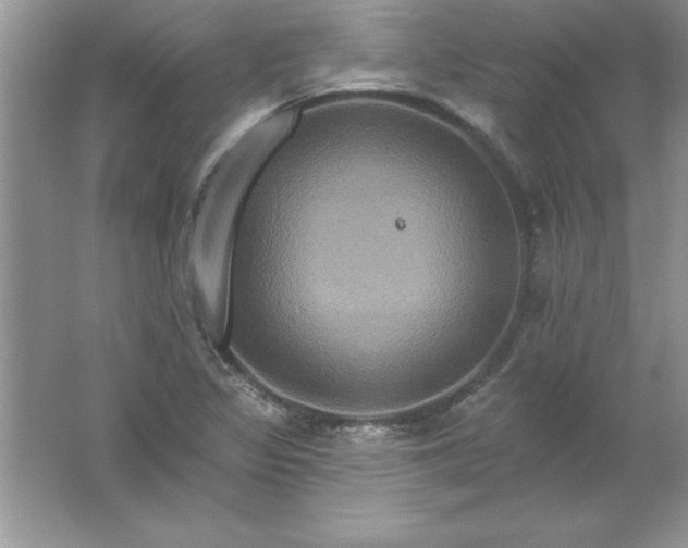 X0000061751317200512161706