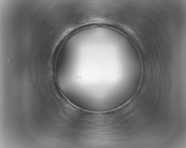 X0000061751318200512161706