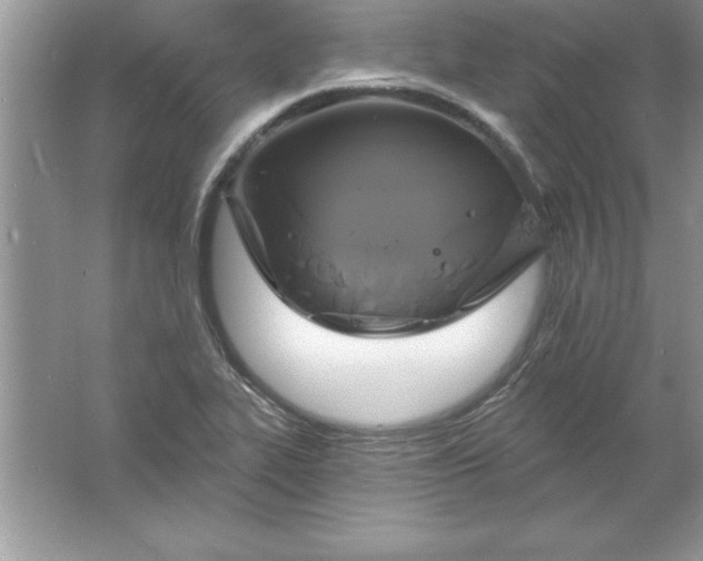 X0000061751319200512161706