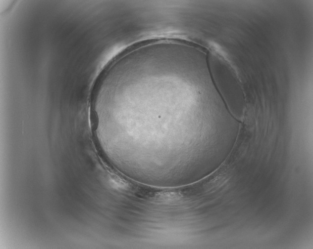 X0000061751320200512161706