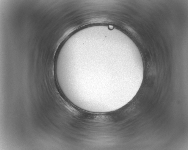 X0000061751322200512161706