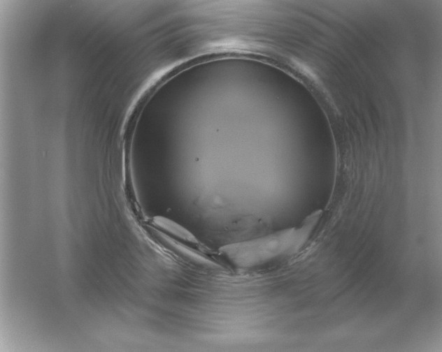 X0000061751323200512161706