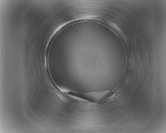 X0000061751324200512161706