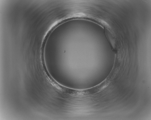 X0000061751326200512161706