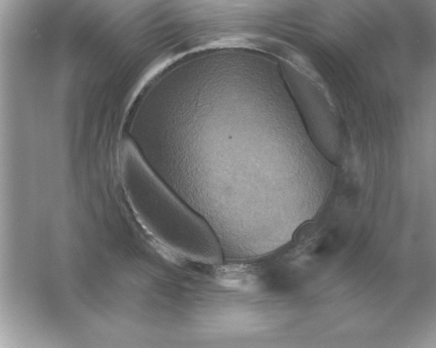 X0000061751328200512161706