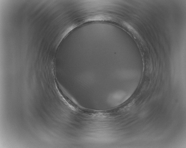 X0000061751329200512161706