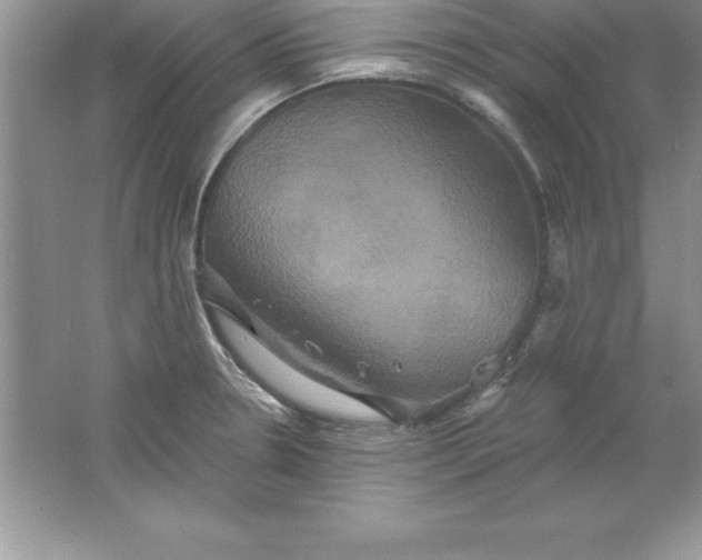 X0000061751330200512161706