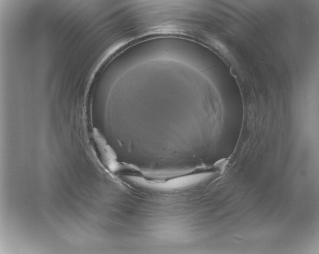 X0000061751331200512161706