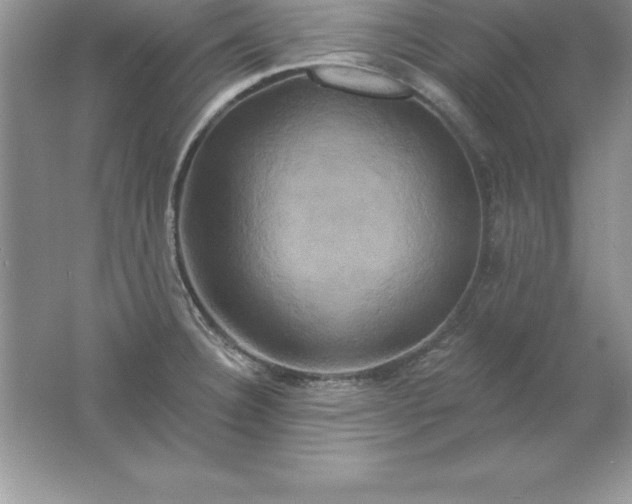 X0000061751332200512161706