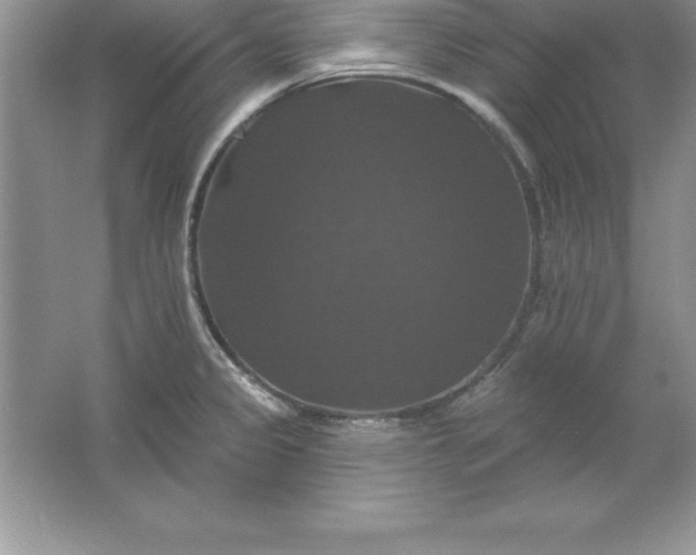 X0000061751333200512161706