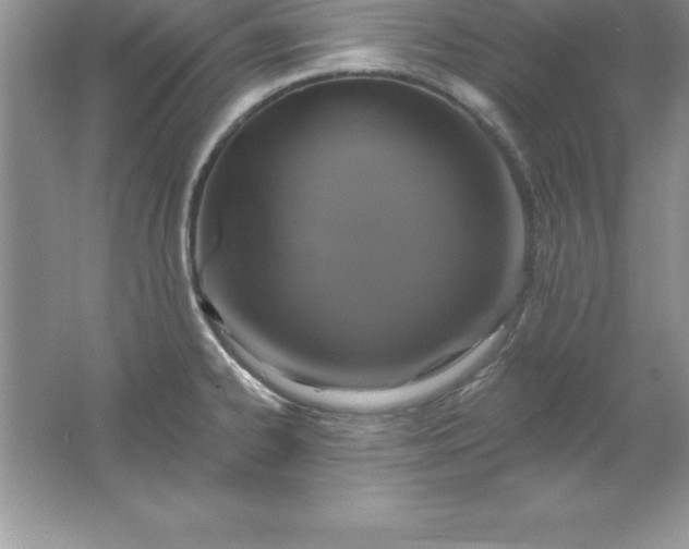 X0000061751334200512161706