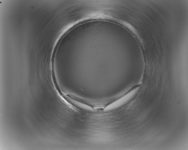 X0000061751335200512161706