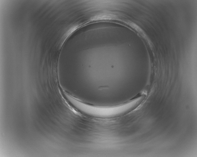 X0000061751337200512161706