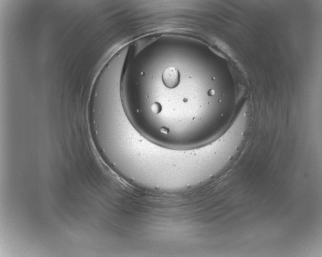 X0000061751338200512161706