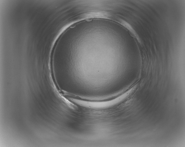 X0000061751339200512161706