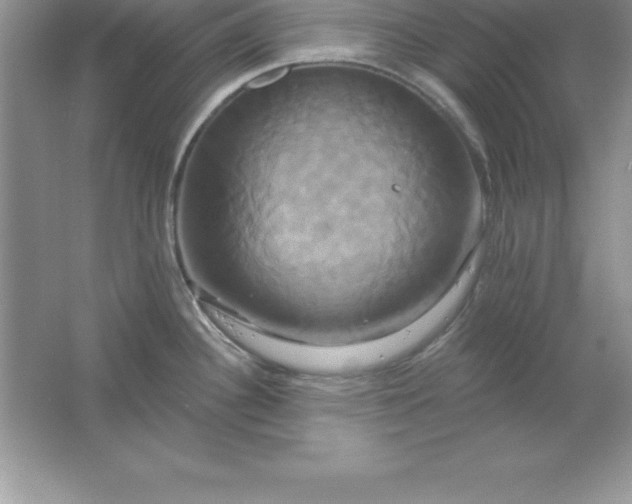 X0000061751340200512161706