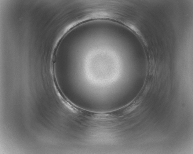 X0000061751342200512161706