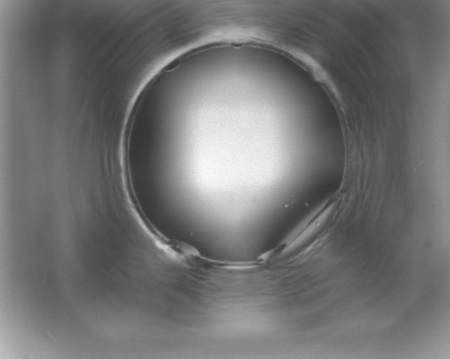 X0000061751343200512161707