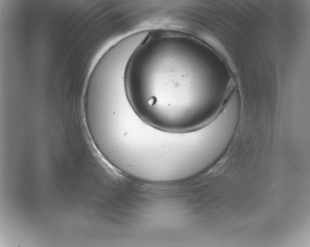 X0000061751344200512161707