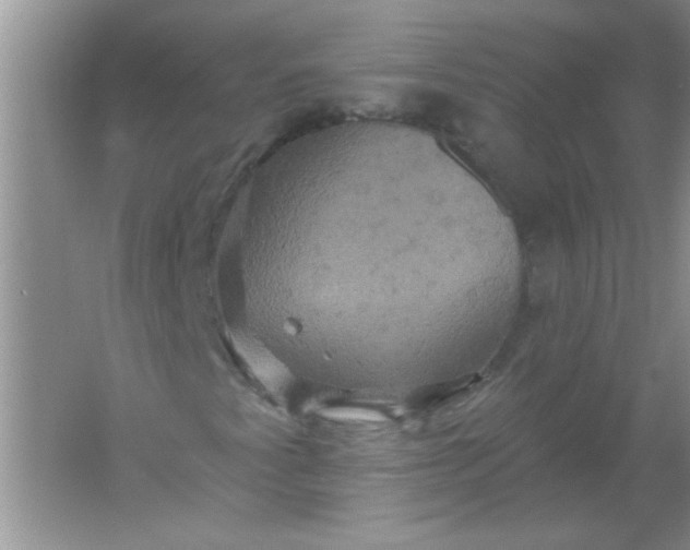 X0000061751345200512161706