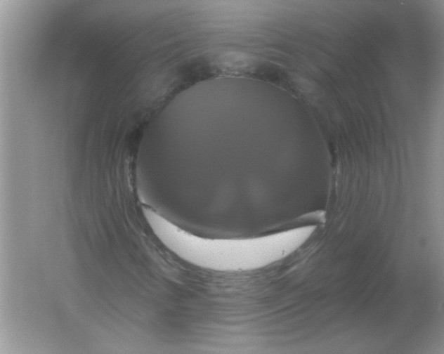 X0000061751346200512161706