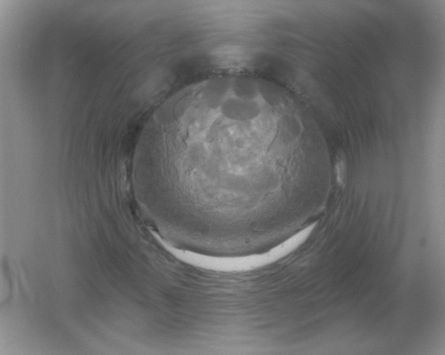 X0000061751347200512161706