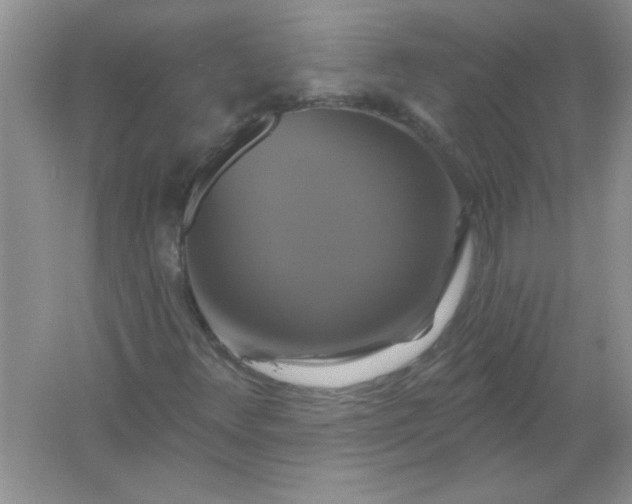 X0000061751348200512161706