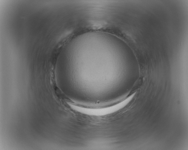 X0000061751349200512161706