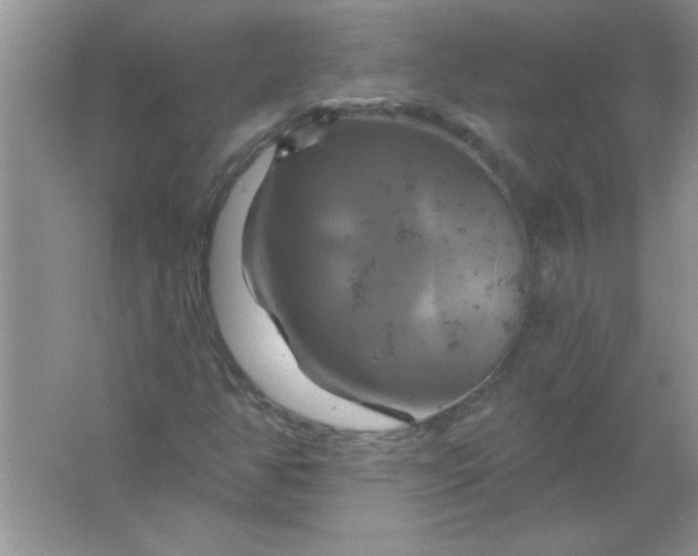 X0000061751350200512161706