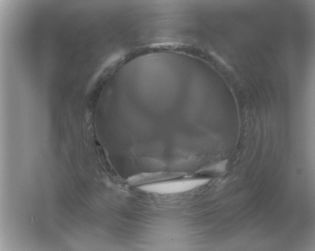 X0000061751351200512161706