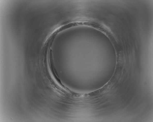 X0000061751352200512161706