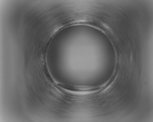 X0000061751353200512161706