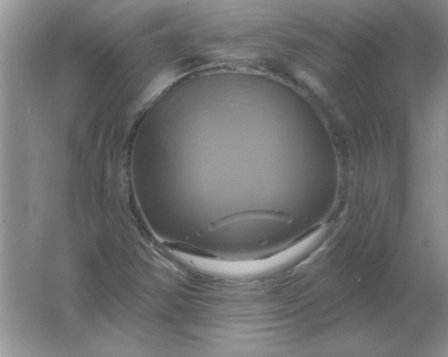 X0000061751354200512161706