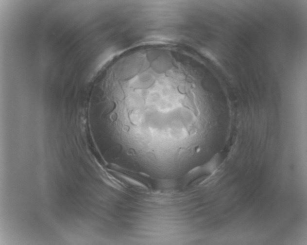 X0000061751355200512161706