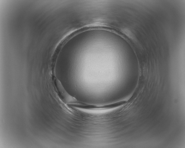 X0000061751356200512161706