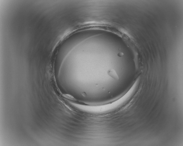 X0000061751357200512161705