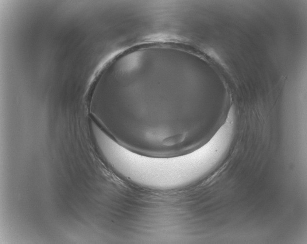 X0000061751358200512161705