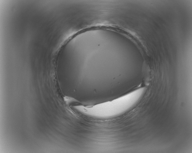 X0000061751359200512161705