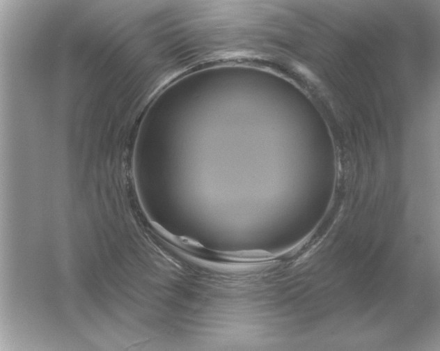 X0000061751361200512161705