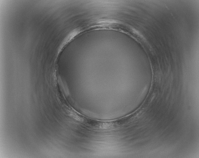 X0000061751362200512161705