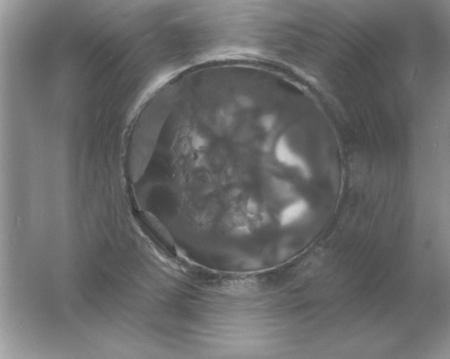 X0000061751363200512161705