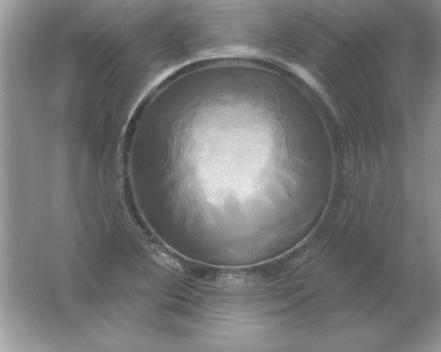 X0000061751364200512161705