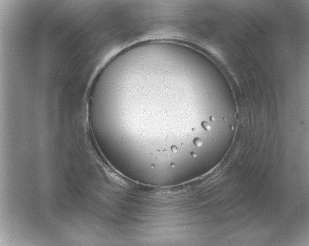 X0000061751366200512161705