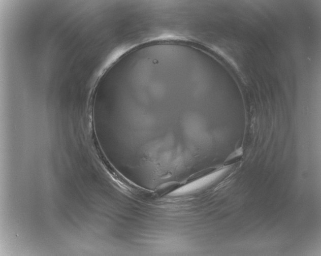 X0000061751367200512161705