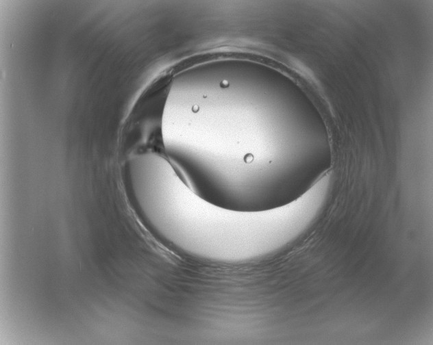 X0000061751368200512161705