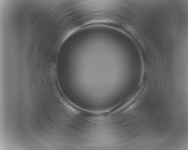 X0000061751369200512161705